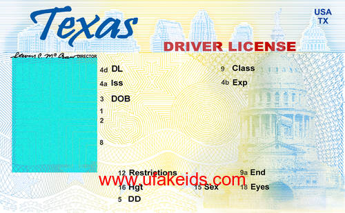 california drivers license new blank template