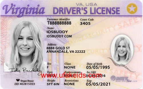VIRGINIA Fake ID