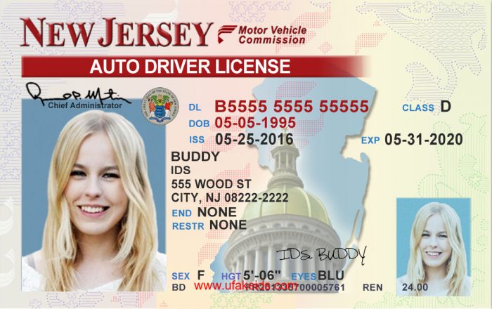 Fake Nj Drivers License Template